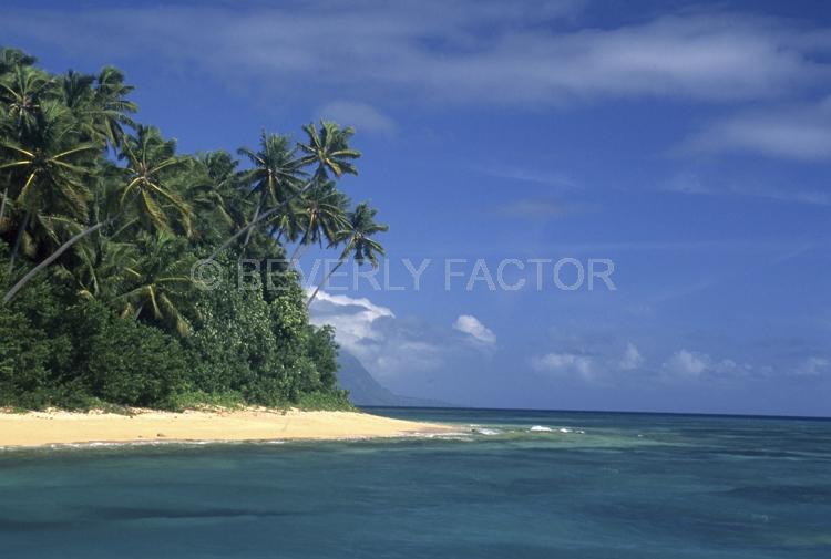 Islands;Fiji;palm trees;blue sky;blue water;sand